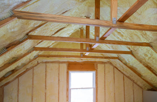 Best Specialized Insulation Services in Lebanon, IN